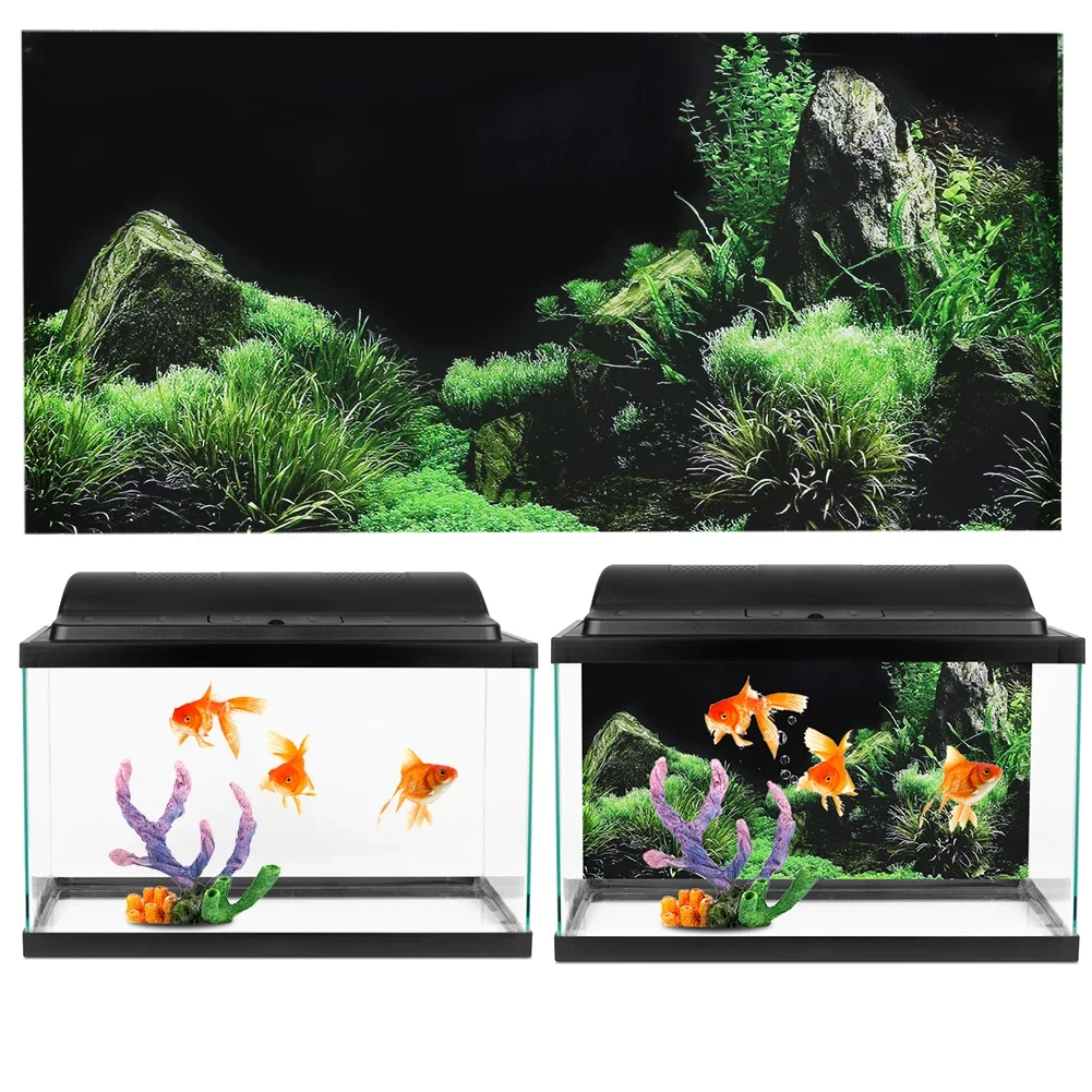 Background for Aquarium 3d Sti - Marine Aquarium All In One ulasan dan harga