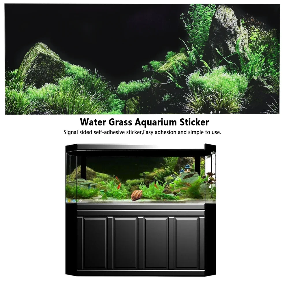 Background for Aquarium 3d Sti - Marine Aquarium All In One ulasan dan harga