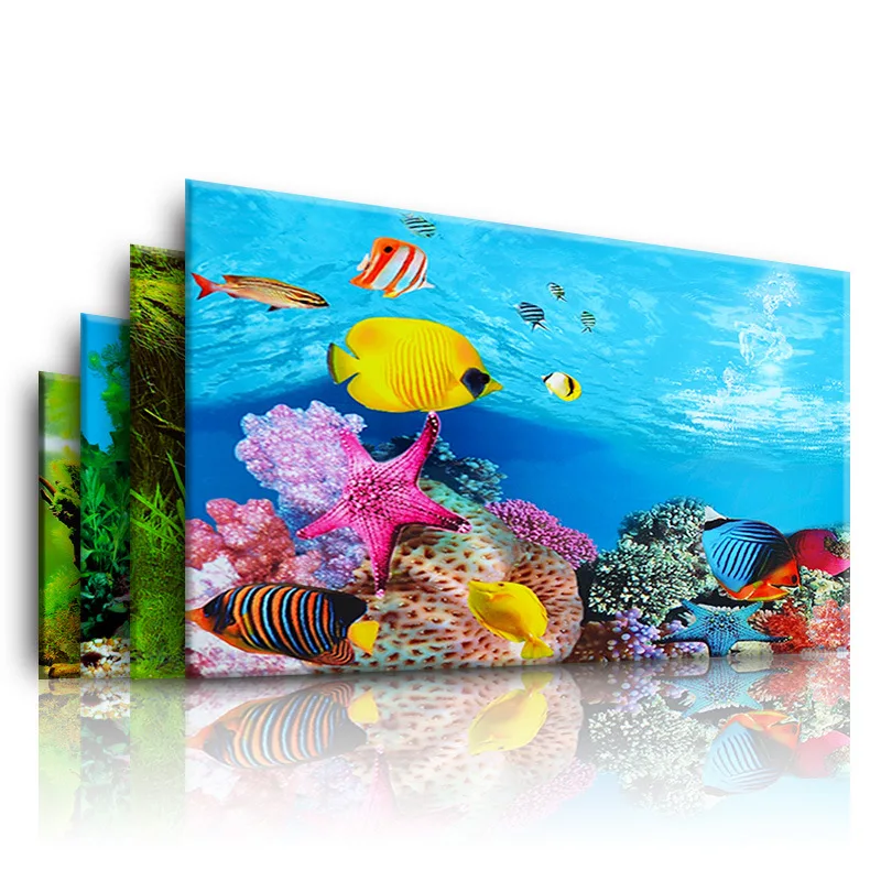 Background for Aquarium 3d  St - Marine Aquarium All In One ulasan dan harga