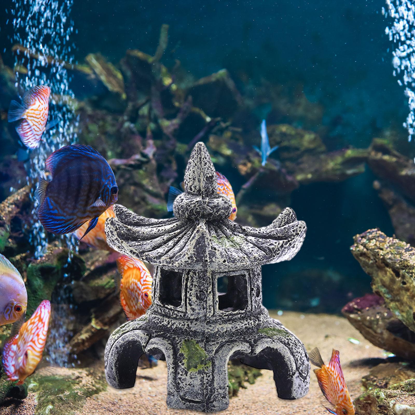 Aquarium Ornament Aquarium Acc - Marine Aquarium All In One ulasan dan harga