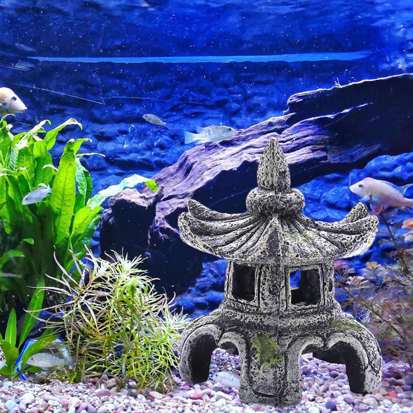 Aquarium Ornament Aquarium Acc - Marine Aquarium All In One ulasan dan harga