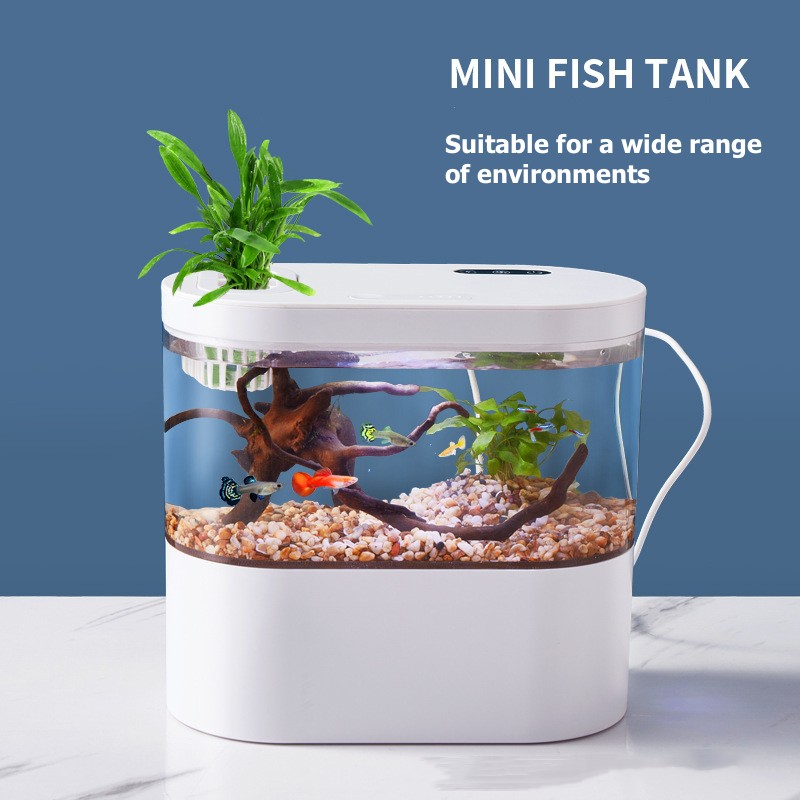 Mini Desktop Aquarium Fish Tan - Marine Aquarium Water Change ulasan dan harga