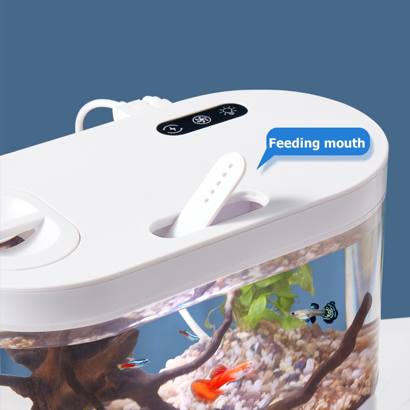 Mini Desktop Aquarium Fish Tan - Marine Aquarium Water Change ulasan dan harga