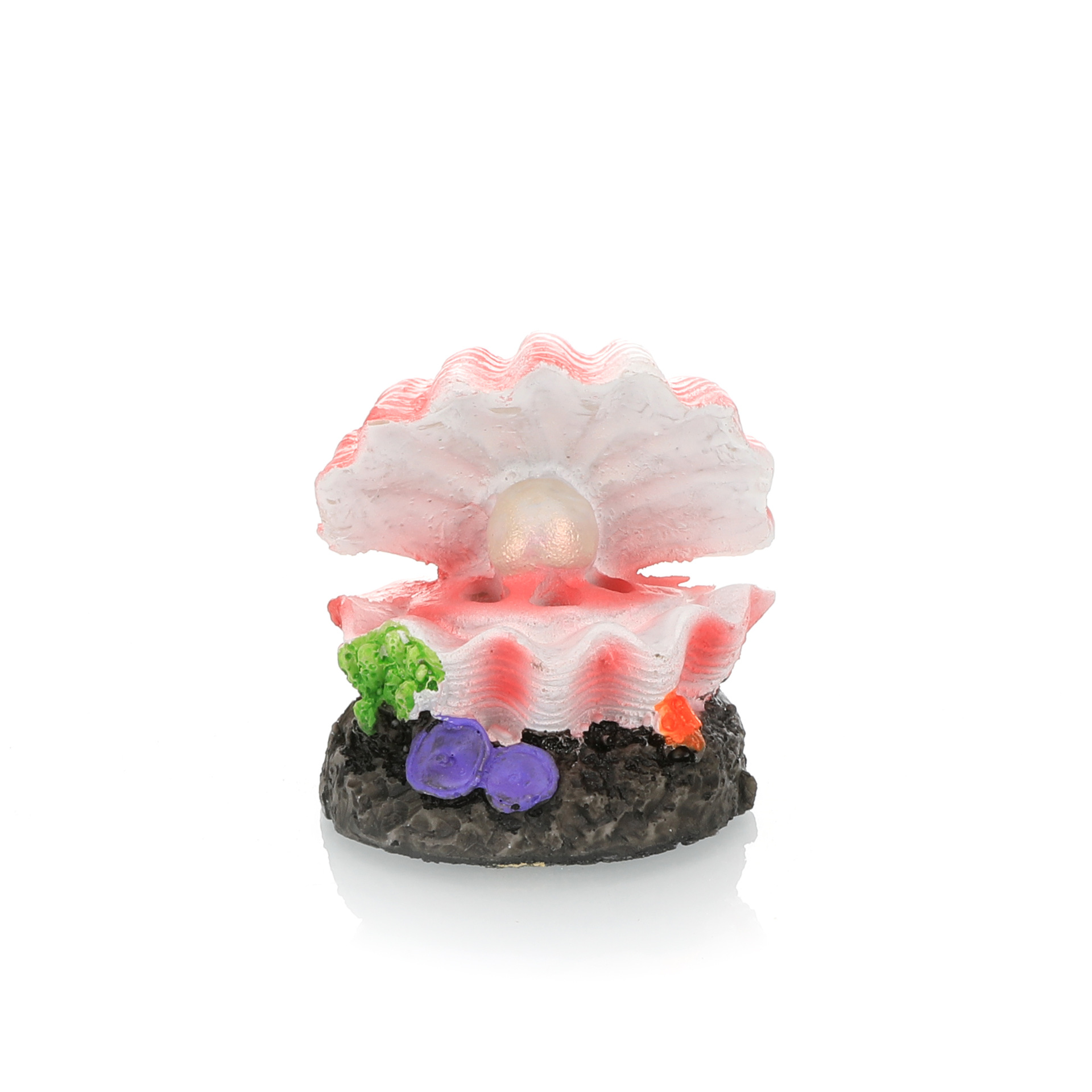 Fish Tank Landscaping Simulati - Marine Aquarium All In One ulasan dan harga