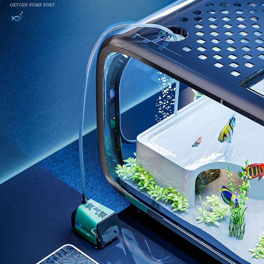 Transparent Luxury Fish Tank D - Marine Aquarium Live ulasan dan harga
