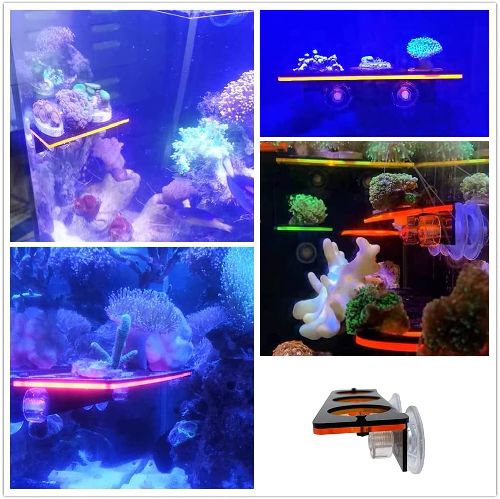 Fluorescent Coral Frag Plug Br - Marine Aquarium All In One ulasan dan harga