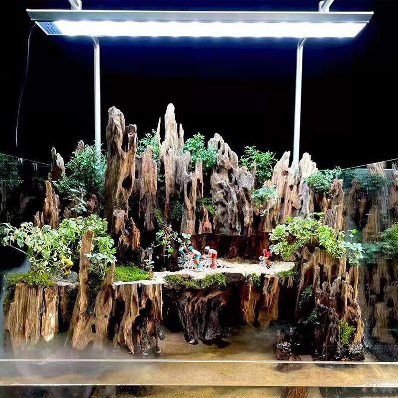 △ Shrimp Wood Aquarium Decor,  - Marine Aquarium All In One ulasan dan harga