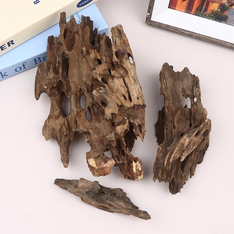△ Shrimp Wood Aquarium Decor,  - Marine Aquarium All In One ulasan dan harga