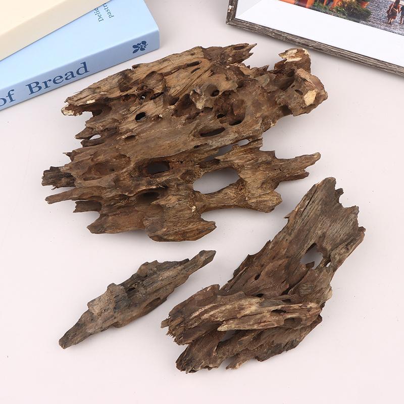 △ Shrimp Wood Aquarium Decor,  - Marine Aquarium All In One ulasan dan harga