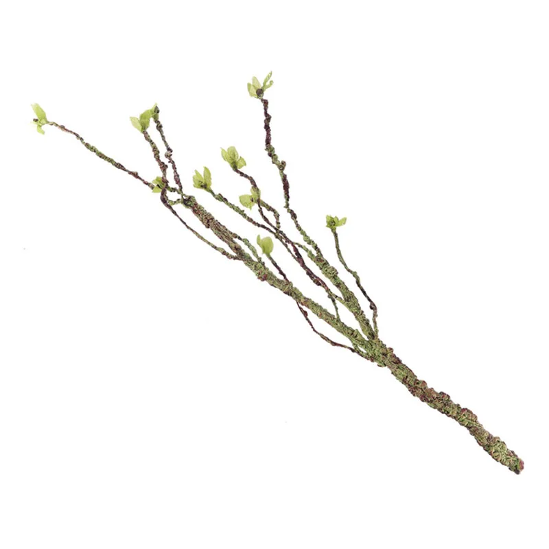 Vines Decor Climbing Branches  - Marine Aquarium All In One ulasan dan harga