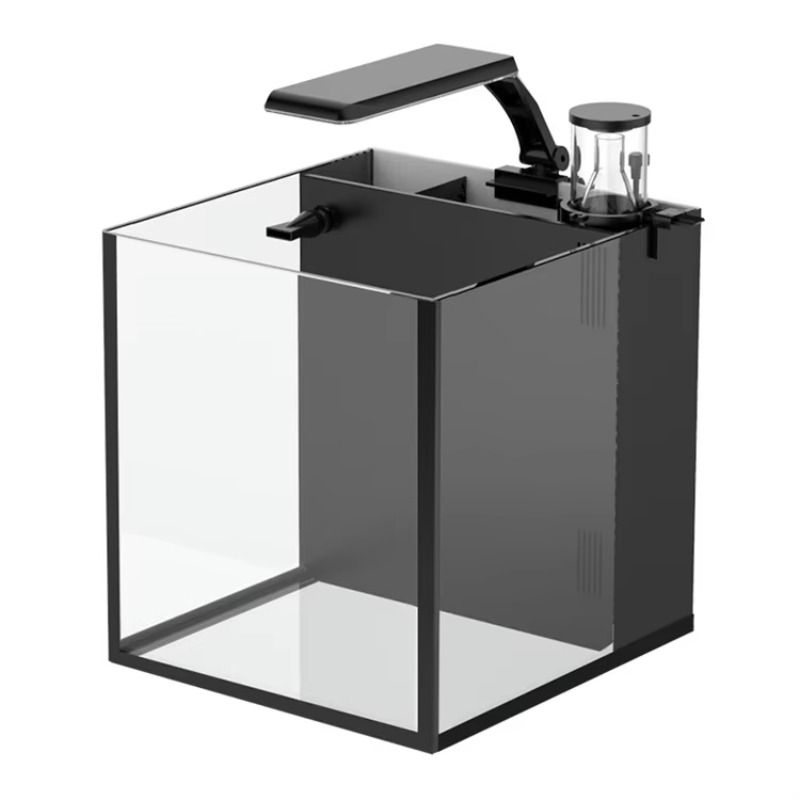 Table Curved Saltwater Marine  - Marine Aquarium Live ulasan dan harga